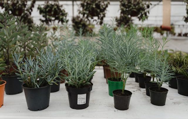 Jak wybrać firmę usługową – na co zwrócić uwagę przed współpracą